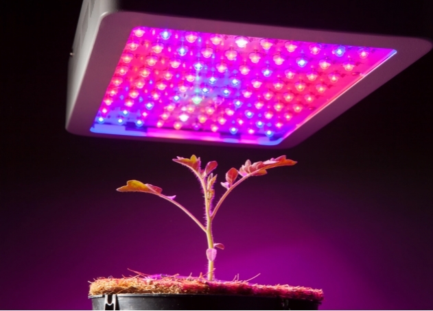 Luz LED pragmática para planta (crescer)